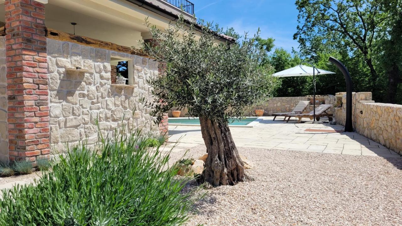 Villa Alara - Charming Villa With Heated Swimming Pool Milohnici Dış mekan fotoğraf